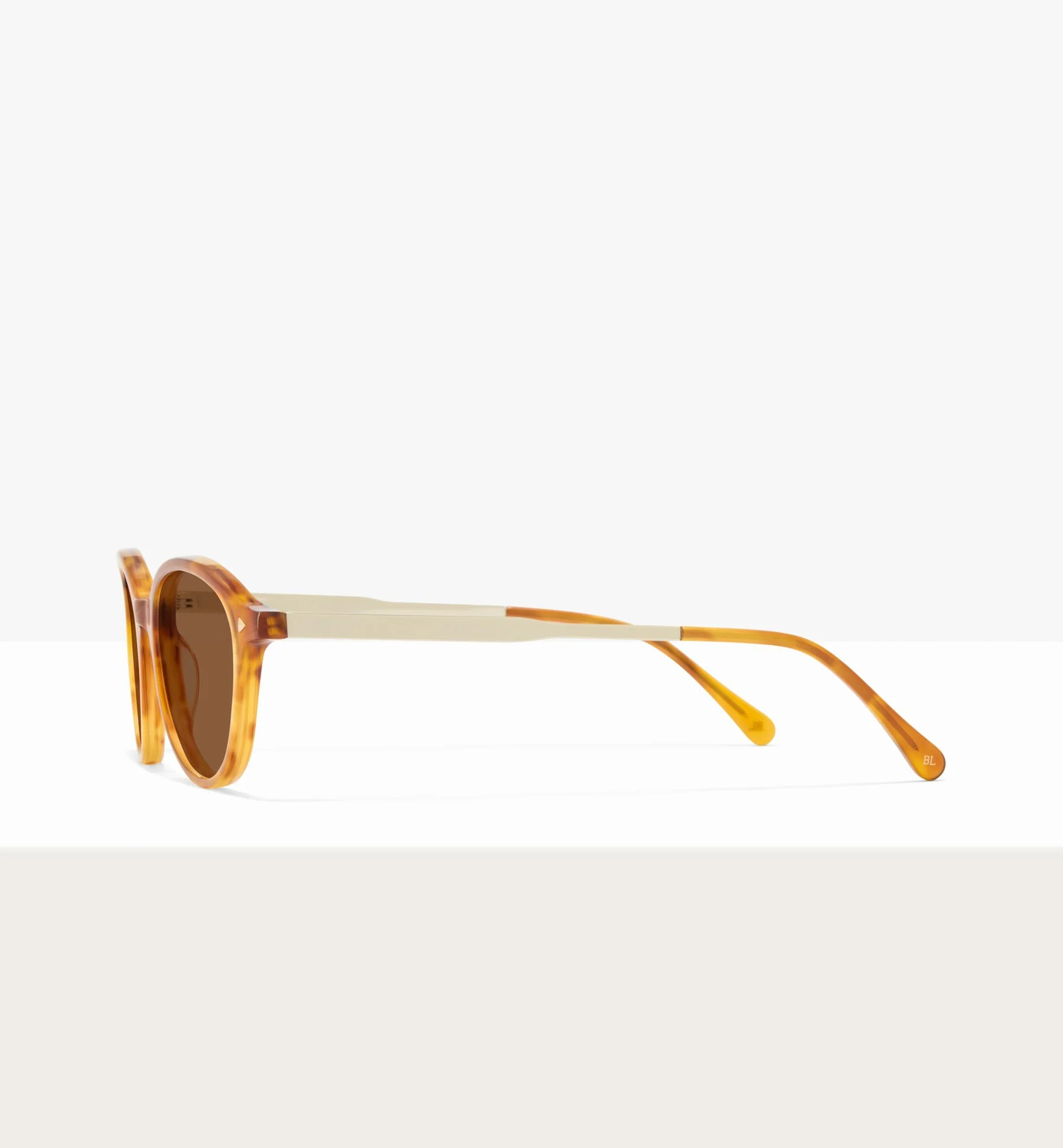 Maranta - Image 9